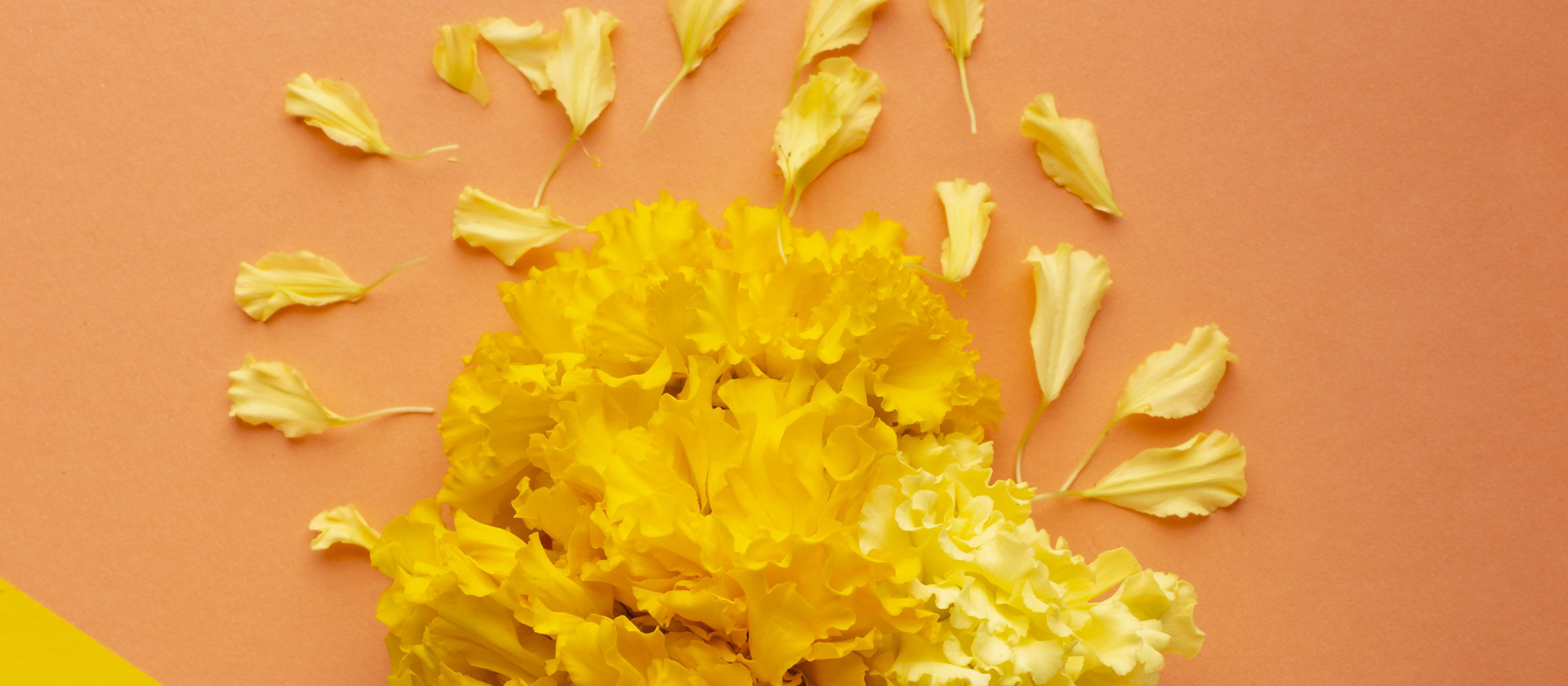 Exótica Nieve de Cempasúchil: Sabor y Tradición en un Bocado