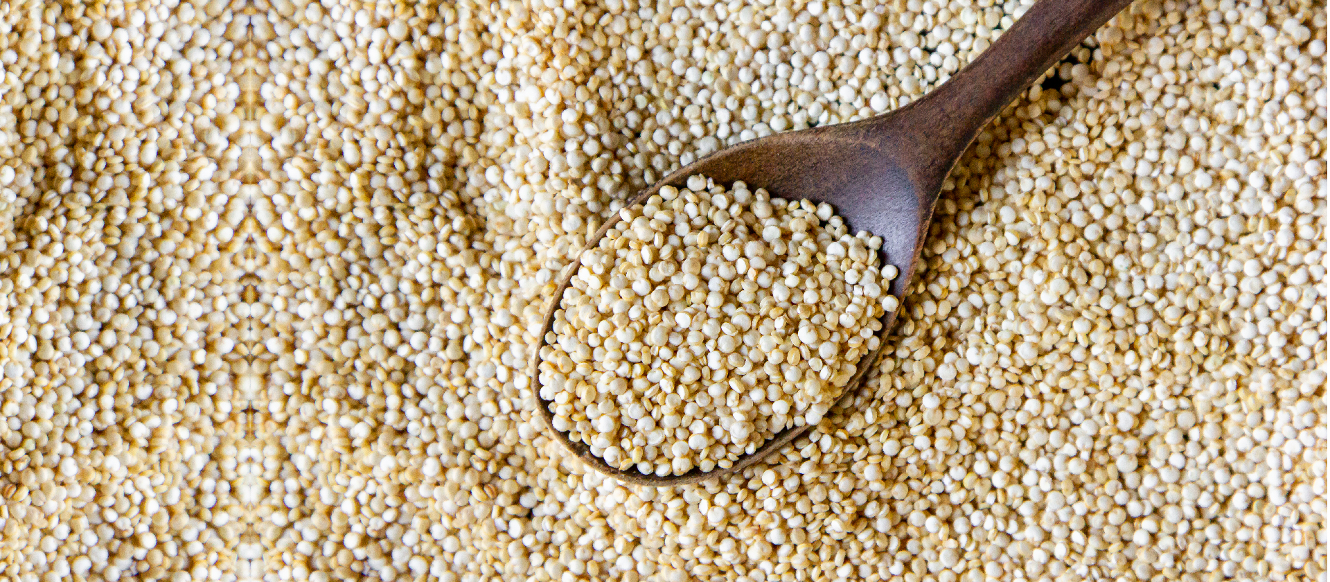 Quinoa: el superalimento madre