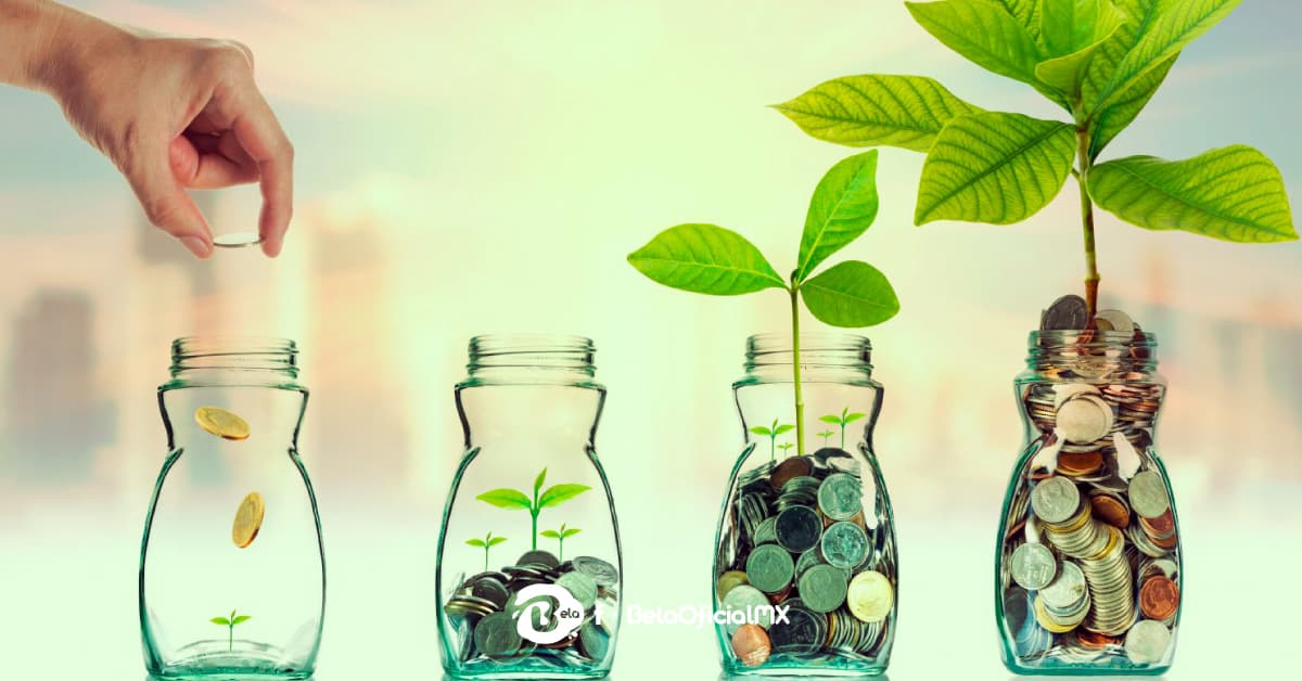 Cajas de ahorro consideraciones antes de elegir una Cajas de ahorro consideraciones antes de elegir una